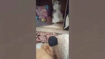 полиция 😂 вот Джек