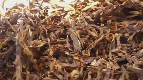 Fribourg & Treyer - Negrohead  (  Blackjack ) pipe tobacco