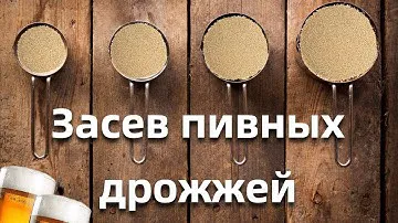 Засев пивных дрожжей 2!Сколько дрожжей нужно для лагера?Эксперимент с дрожжами!!!Дегустация!