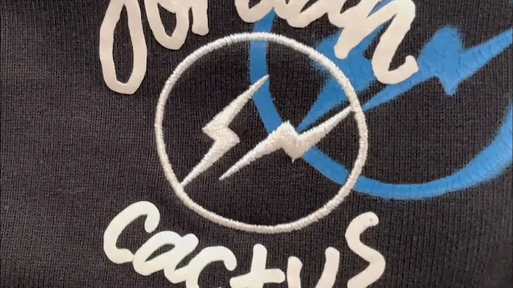 Terrycloth Jordan x Fragment x Cactus 🌵 Jack Shorts Review