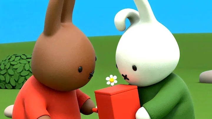 Miffy | Dan’s Lost Toy! | Brand New Series! | Miffy's Adventures Big & Small | WildBrain Cartoons