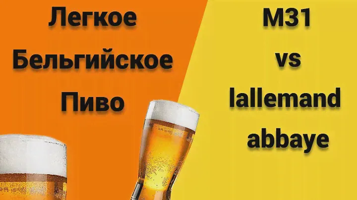 Легкое Бельгийское Пиво!Сравнение дрожжей М31 и лаллеманд абби!Эксперимент с дрожжами!