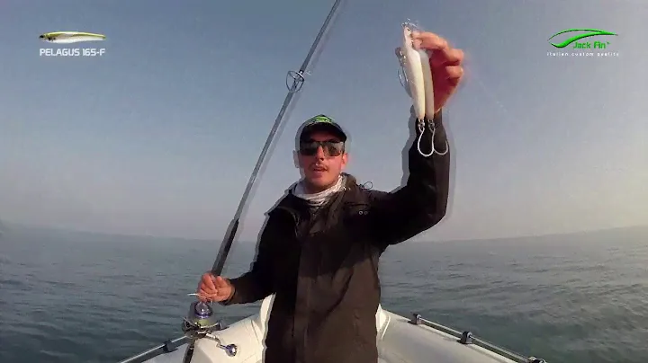 Jack Fin Pelagus 165-F - Action Video