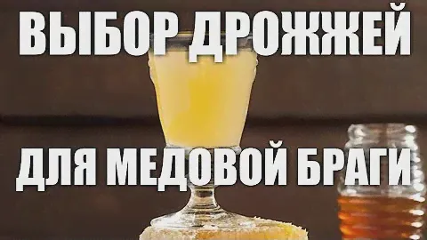 Выбор дрожжей для медовой браги.