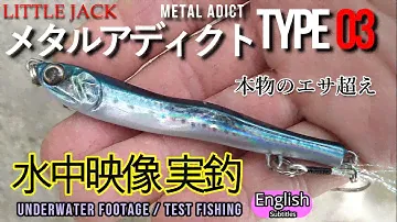 メタルアディクト 03 リトルジャック　水中映像　実釣【ショアジギング】リアル見かけ 動き　本物のエサ越え