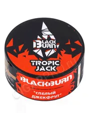 Табак для кальяна Black Burn Tropic Jack (Спелый Джекфрут) 25г